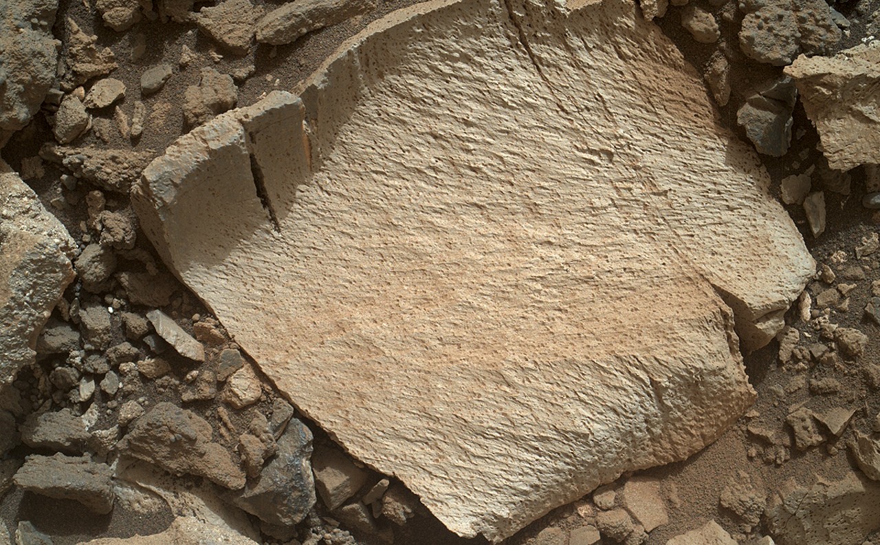 Low Sillica Rocks High-Silica 'Lamoose' Rock - NASA Science