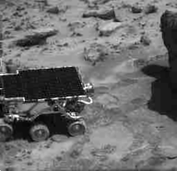 Turning in the Soil - NASA Science