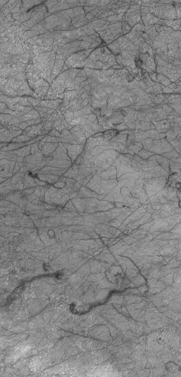 Dust Devil Invisible Background Dust Devil Art - NASA Science
