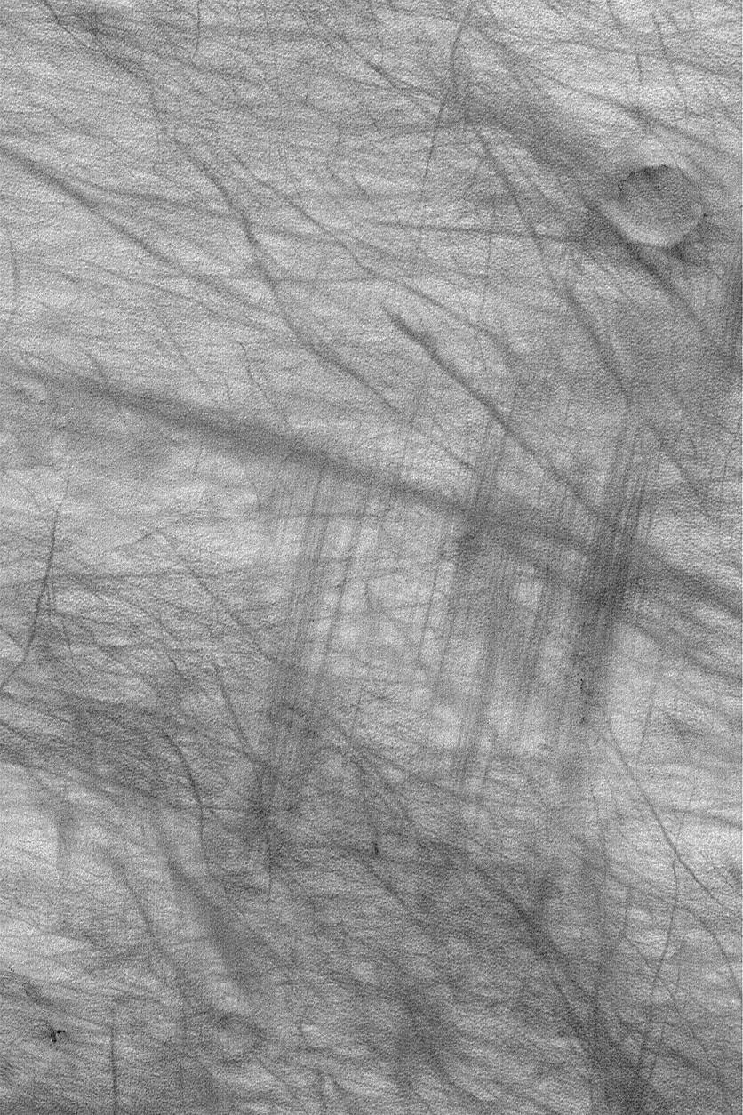 Wind vs. Dust Devil Streaks - NASA Science