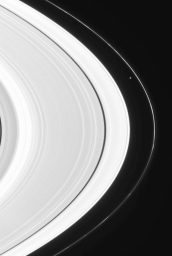 NASA's Cassini spacecraft has sighted tiny Pan, a body only 20 kilometers (12 miles) across. Pan is responsible for parting the Encke Gap in Saturn's outer A ring.