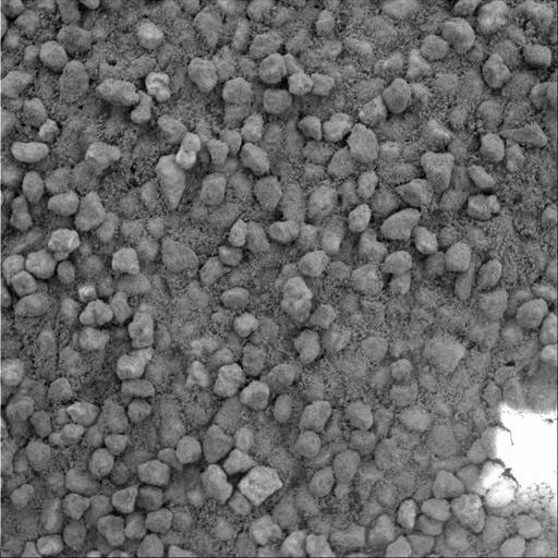 Angular Grains of Sand Hint at Short Transport Distance - NASA Science