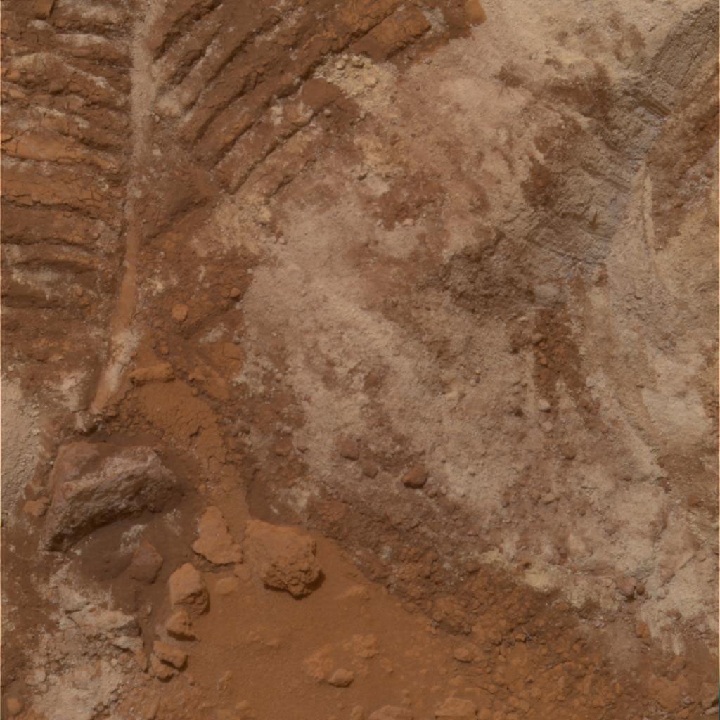 Churned-Up Rocky Debris and Dust (True Color) - NASA Science