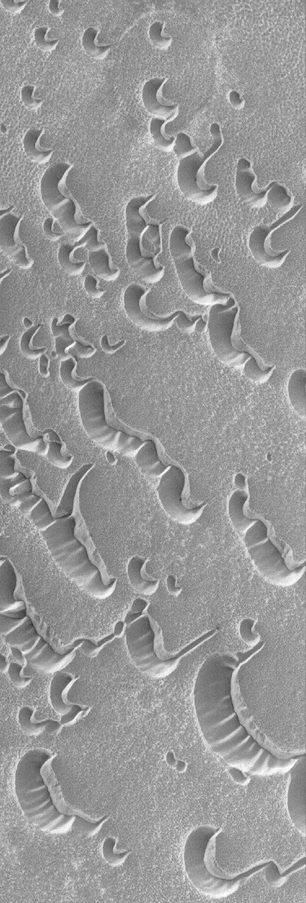 Shell Planets Polar Shells - NASA Science