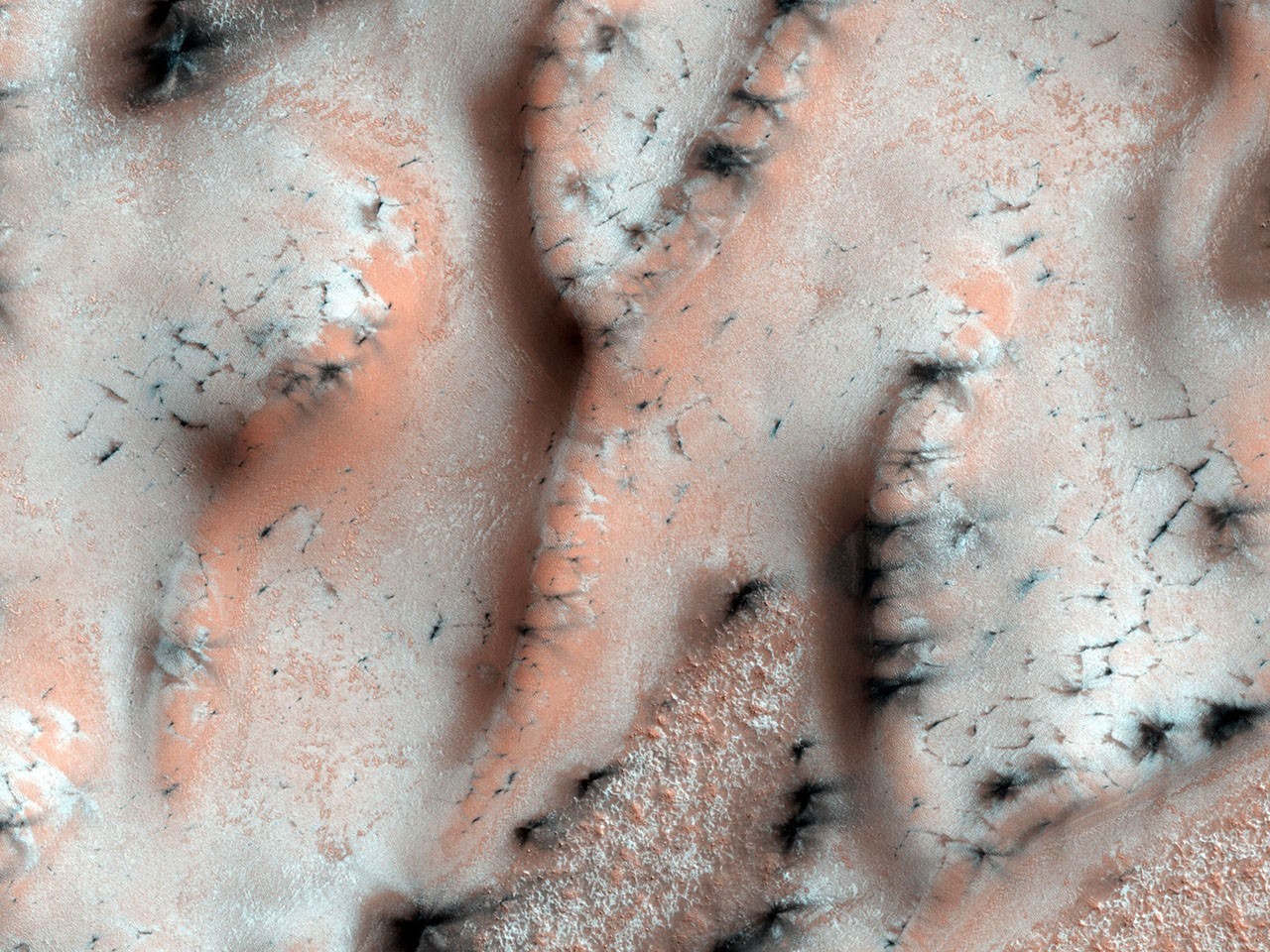 A Burst of Spring - NASA Science