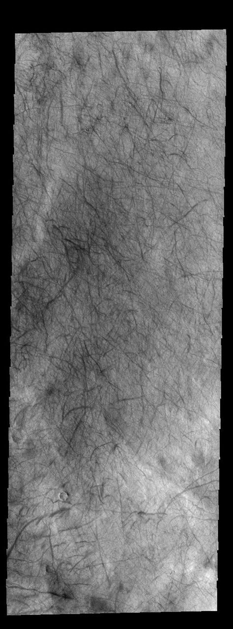 Dust Devil Tracks - NASA Science