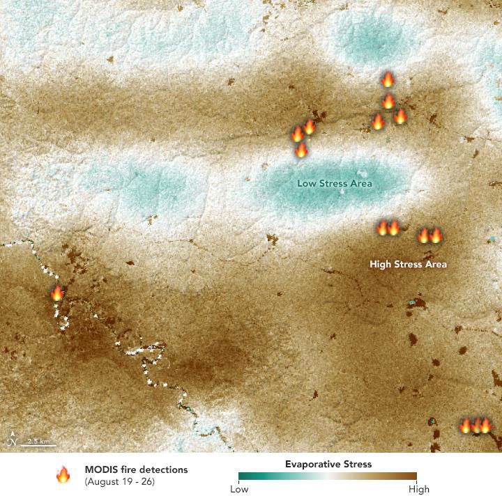 Drought-Stressed Forest Fueled Amazon Fires - NASA Science