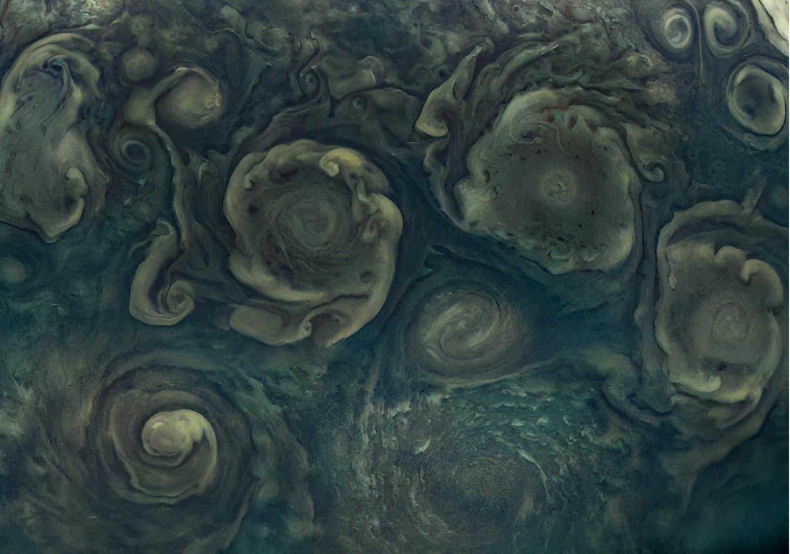 フラワーベース JUNO ジュノ グリーン  nuutajarvi NASA's Juno Views Northern Cyclones on Jupiter - NASA Science