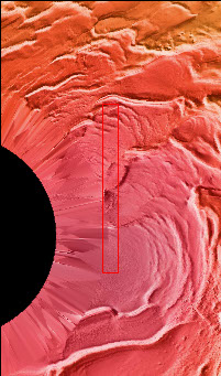 South Polar Ice - NASA Science