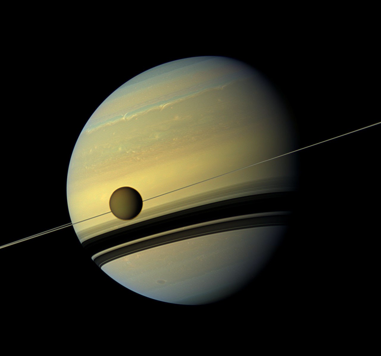 cq5dam.web.1280.1280.jpeg