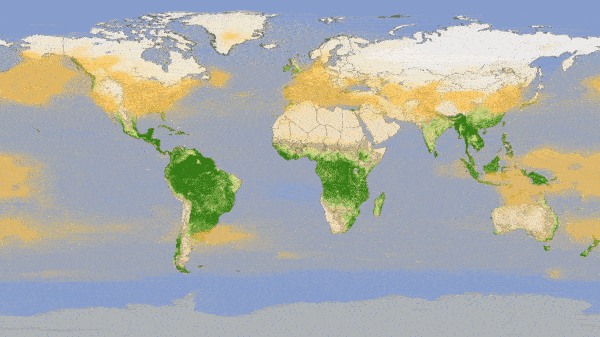 Animation showing changes in carbon dioxide concentration around the globe