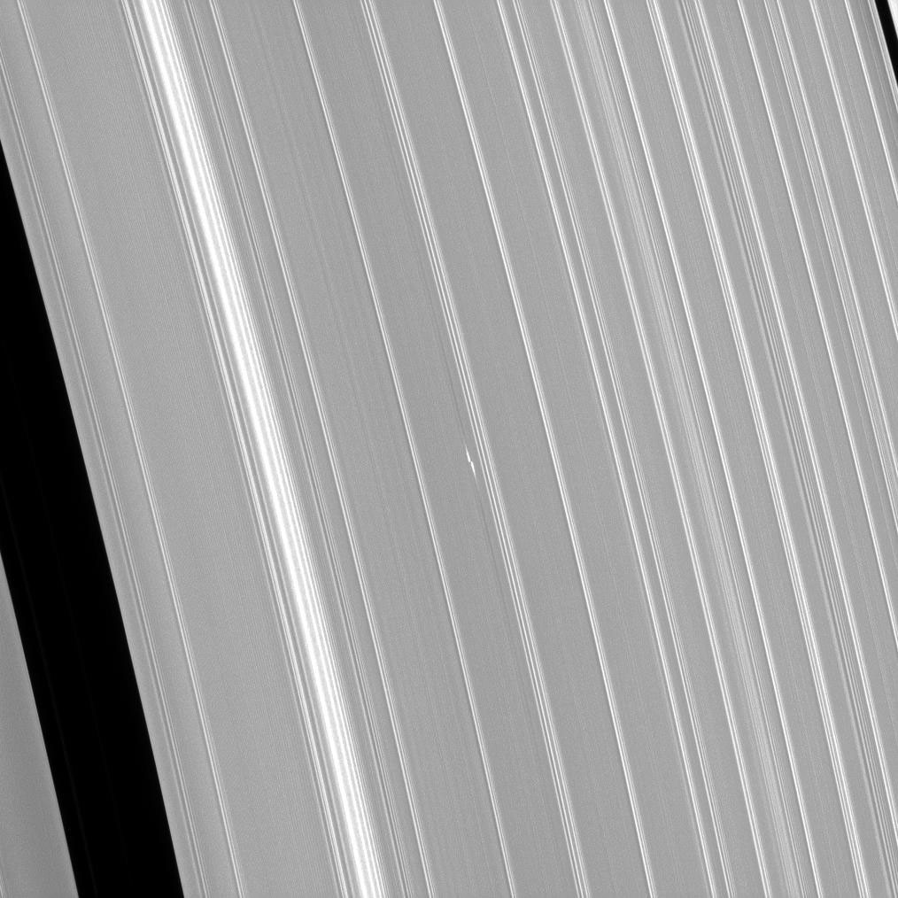 Propeller, Light and Dark - NASA Science