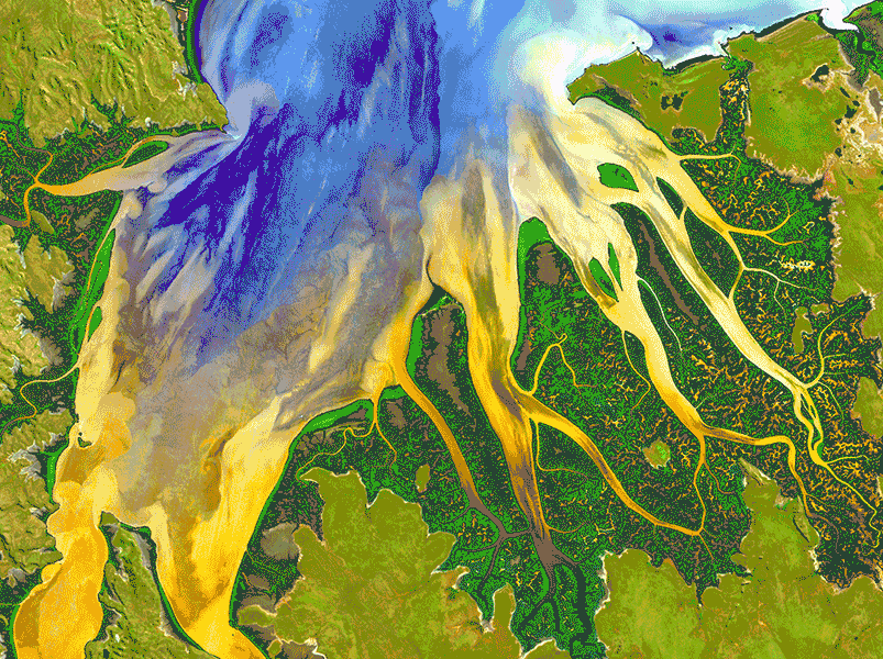 Collage of Earth Images