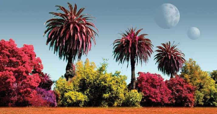 Artist's conception of what plants might look like on other planets. Image credit: NASA/Caltech/T. Pyle.