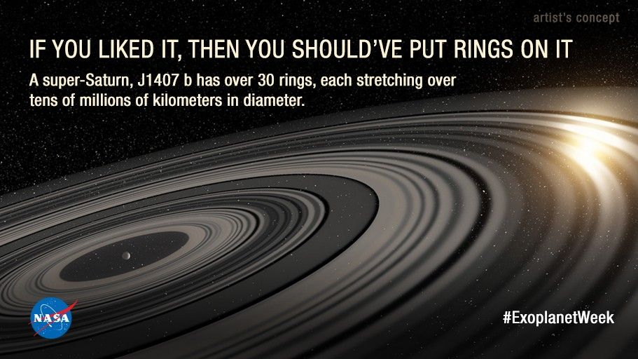 If You Like It, Then You Should've Put Rings On It