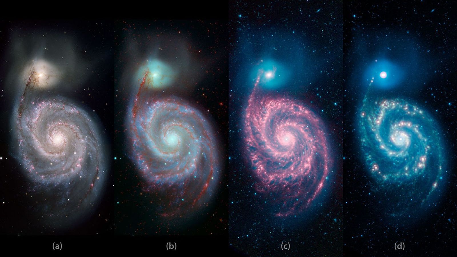 Series of four images showing a whirlpool-shaped galaxy in various wavelengths of light.