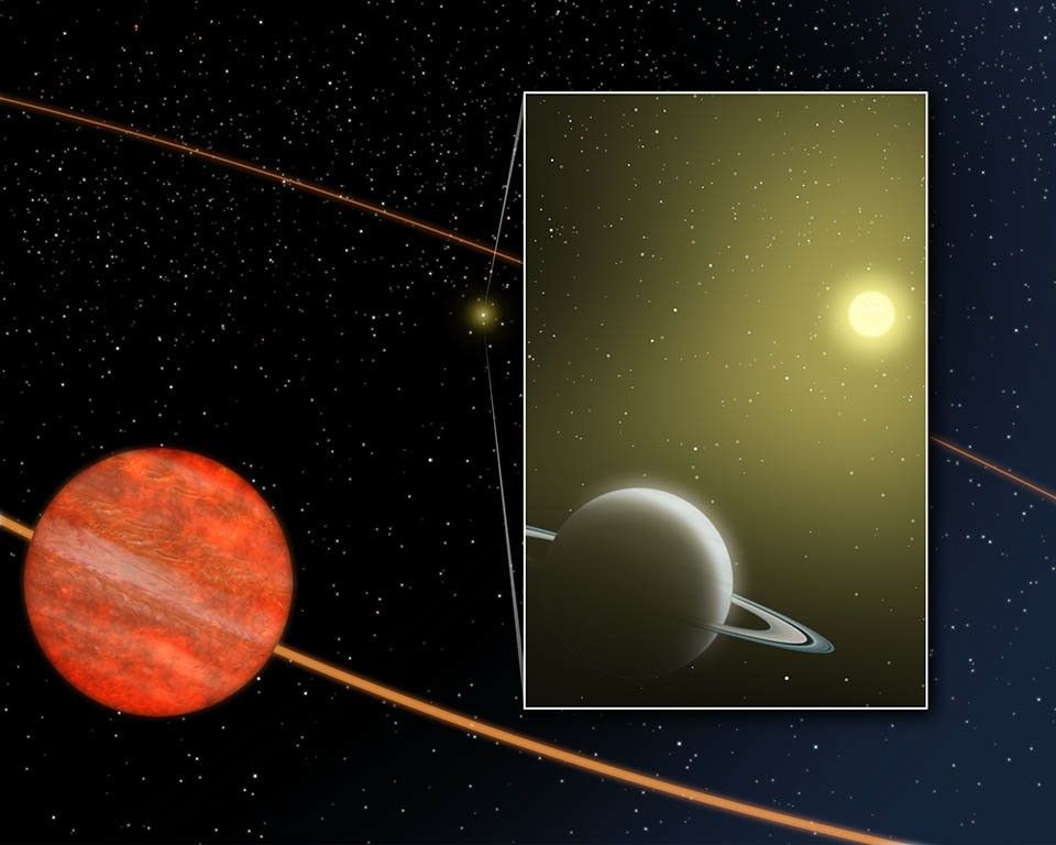 Brown Dwarf Companion