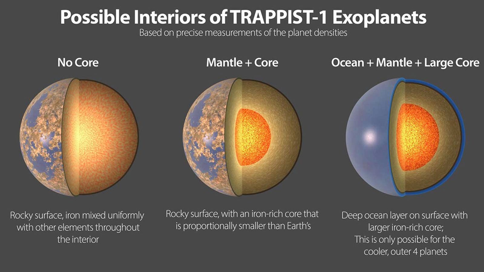 Possible interiors of TRAPPIST-1 planets