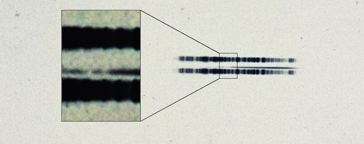 Close-up of spectrum of van Maanen's Star.