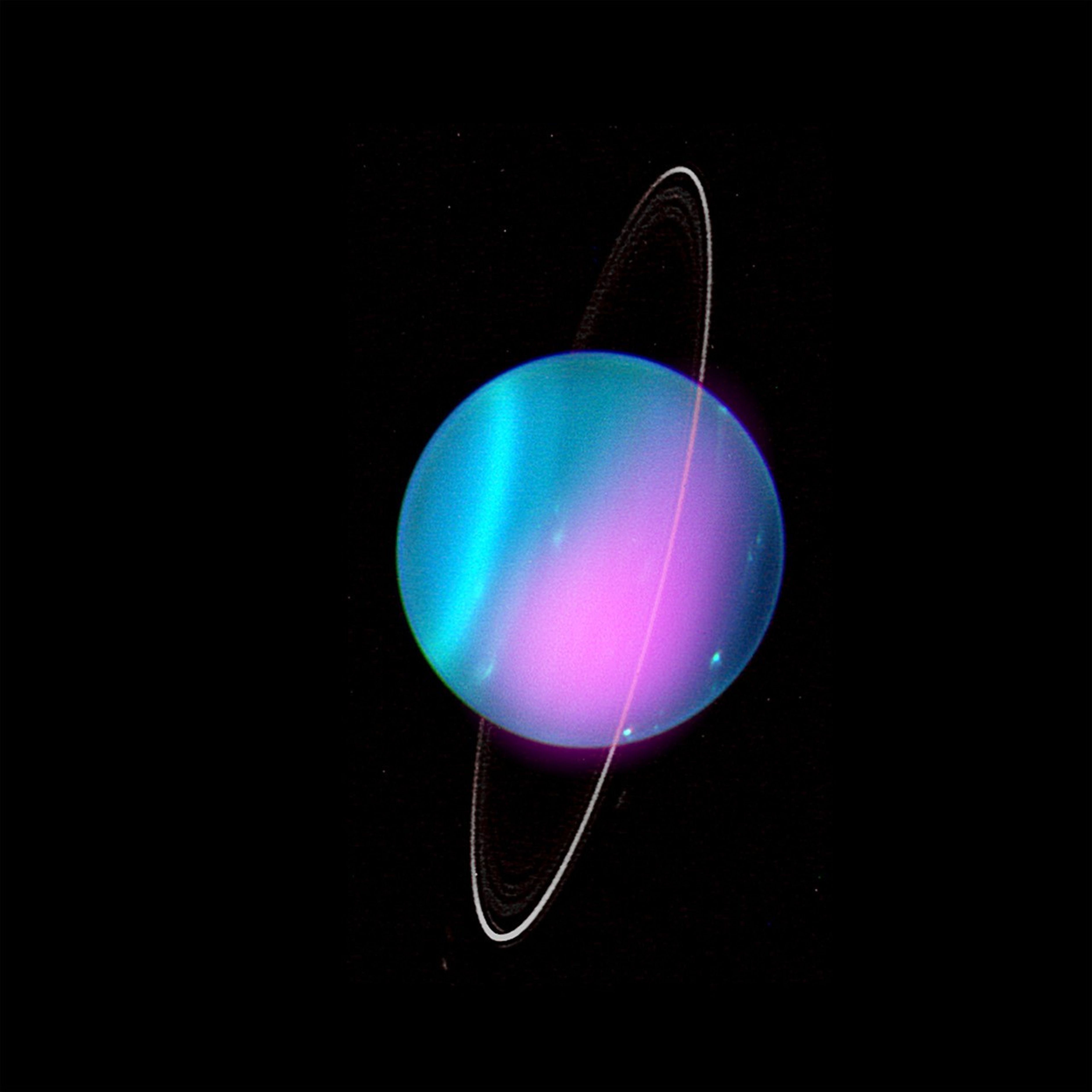 Uranus is depicted in blues and pinks, encircled by a near vertical white ring. The blue and white colors represent optical data obtained by the Keck-1 Telescope, and the pink represents X-ray data gathered by NASA's Chandra X-ray Observatory. The blues, which appear as blended, near vertical stripes, range from midnight blue at our right, to teal and even neon sky blue at our left. Across the right half of the planet is a teardrop-shaped patch of neon pink. Several pale blue dots mark the surface of the planet, though none appear in the hot pink patch. The near vertical ring, which is slightly tipped toward our upper-right, is quite thin. It appears white when set against the black background, and pink when it passes in front of the planet's pink patch.