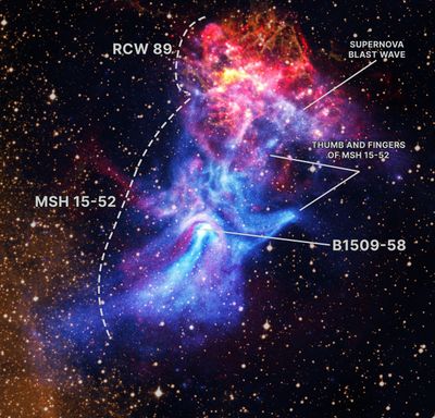 Near the center of these images lies the pulsar B1509-58, a rapidly spinning neutron star that is only about 12 miles in diameter. This tiny object is responsible for producing an intricate nebula (called MSH 15-52) that spans over 150 light-years, or about 900 trillion miles. The nebula, which is produced by energetic particles, resembles a human hand with a palm and extended fingers pointing to the upper right in a view from NASA's Chandra X-ray Observatory. Radio data from the Australia Telescope Compact Array (ATCA) provides new information about this exploded star and its environment. This image also contains optical data of hydrogen gas. The bright red and gold areas near the top of the image show the remains of the supernova that formed the pulsar.