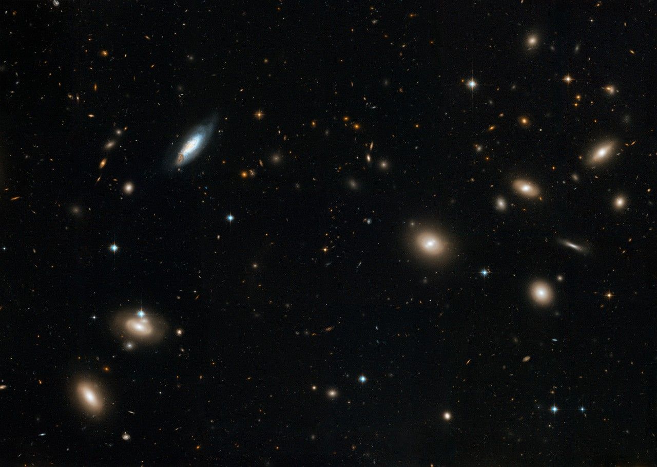 Coma Cluster