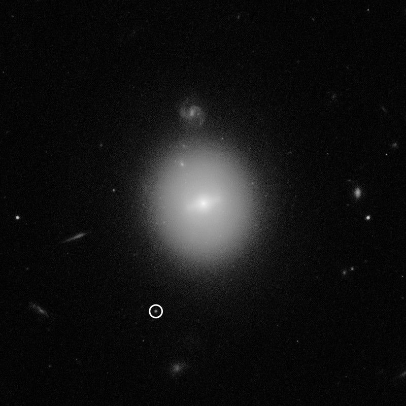 Intermediate black hole