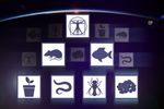 OSDR_Button
