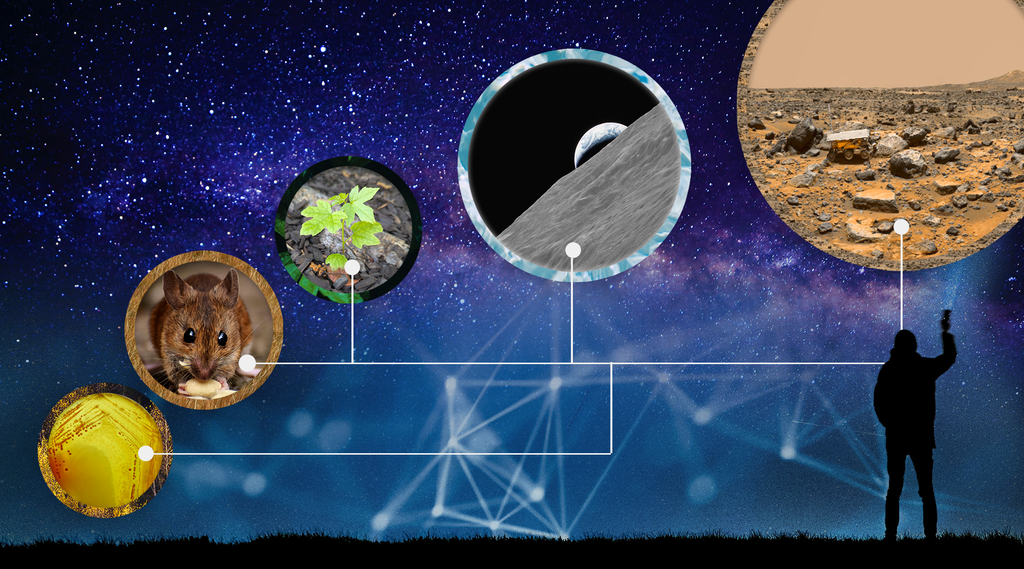 About OSDR NASA Science
