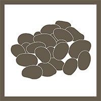 Cluster of oval shapes symbolizing microbes or microbial communities.