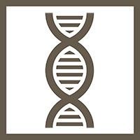 Stylized DNA double helix icon representing multi-omics or genetic data.