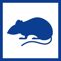 rat_icon_BLUE
