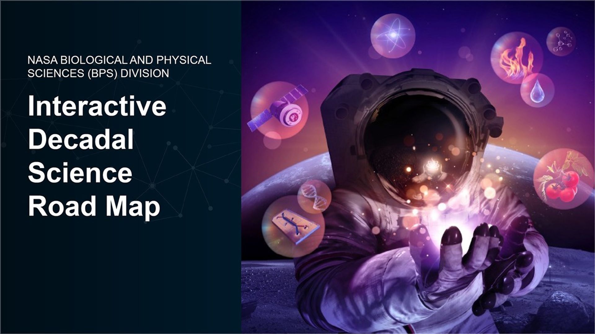 BPS_roadmap 2025_cover