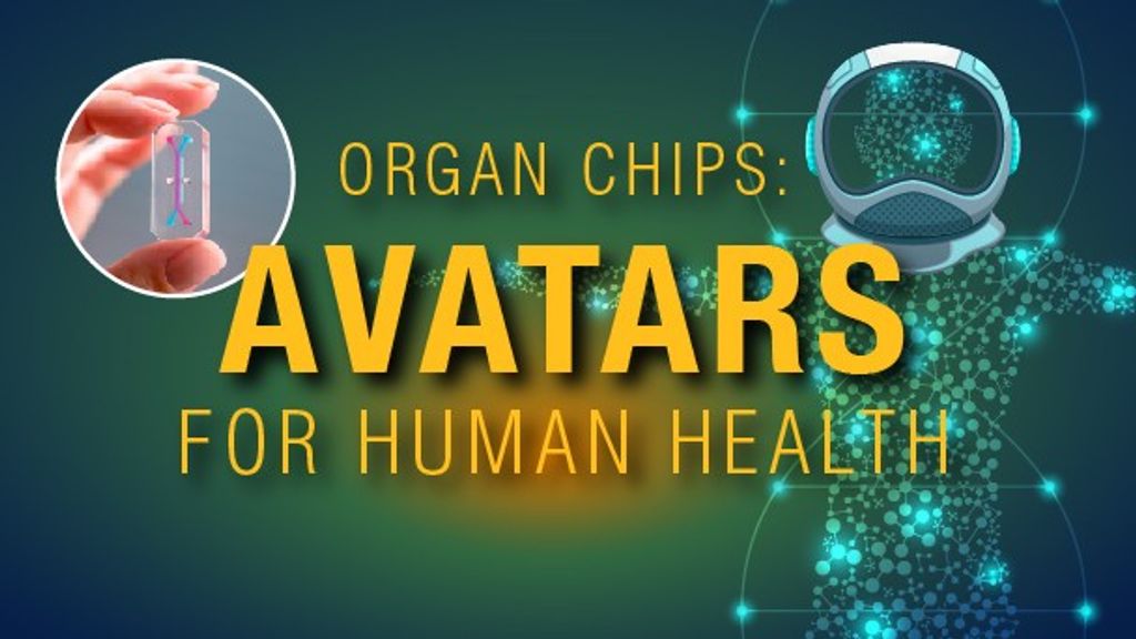 Organ Chips: Avatars for Human Health