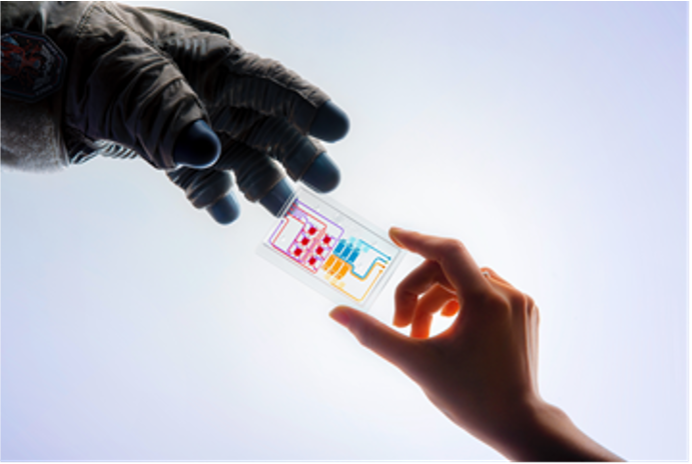 Hand holding tissue chip and handing off to astronaut hand