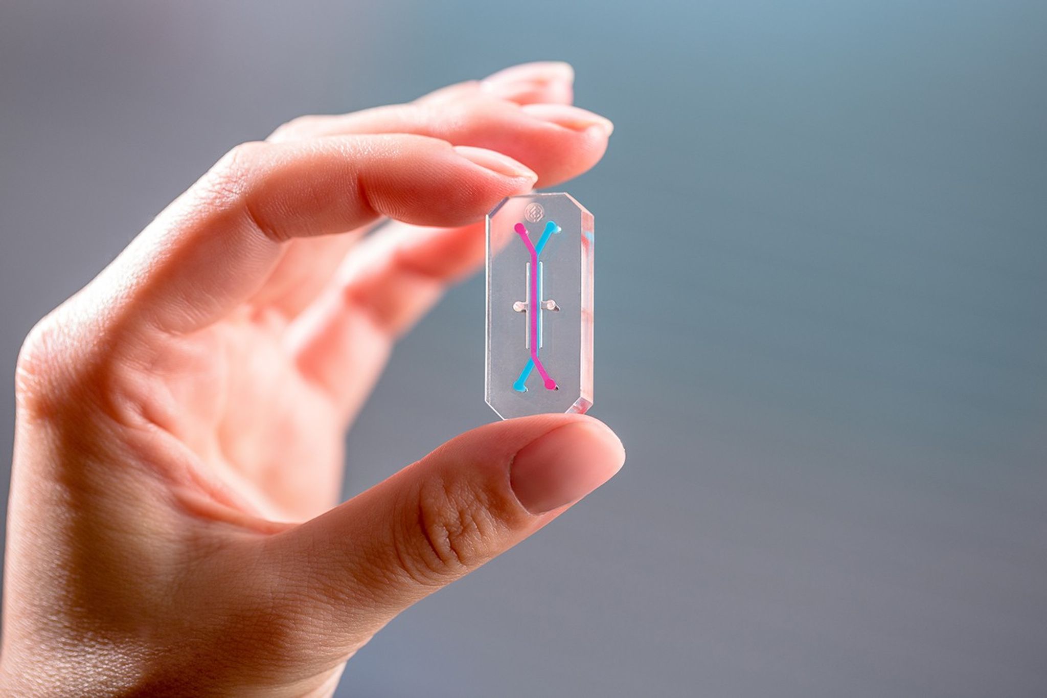 Two fingers holding a transparent rectangular device the size of a USB drive. Inside the device is a long line of blue with two short, red lines at opposite ends.