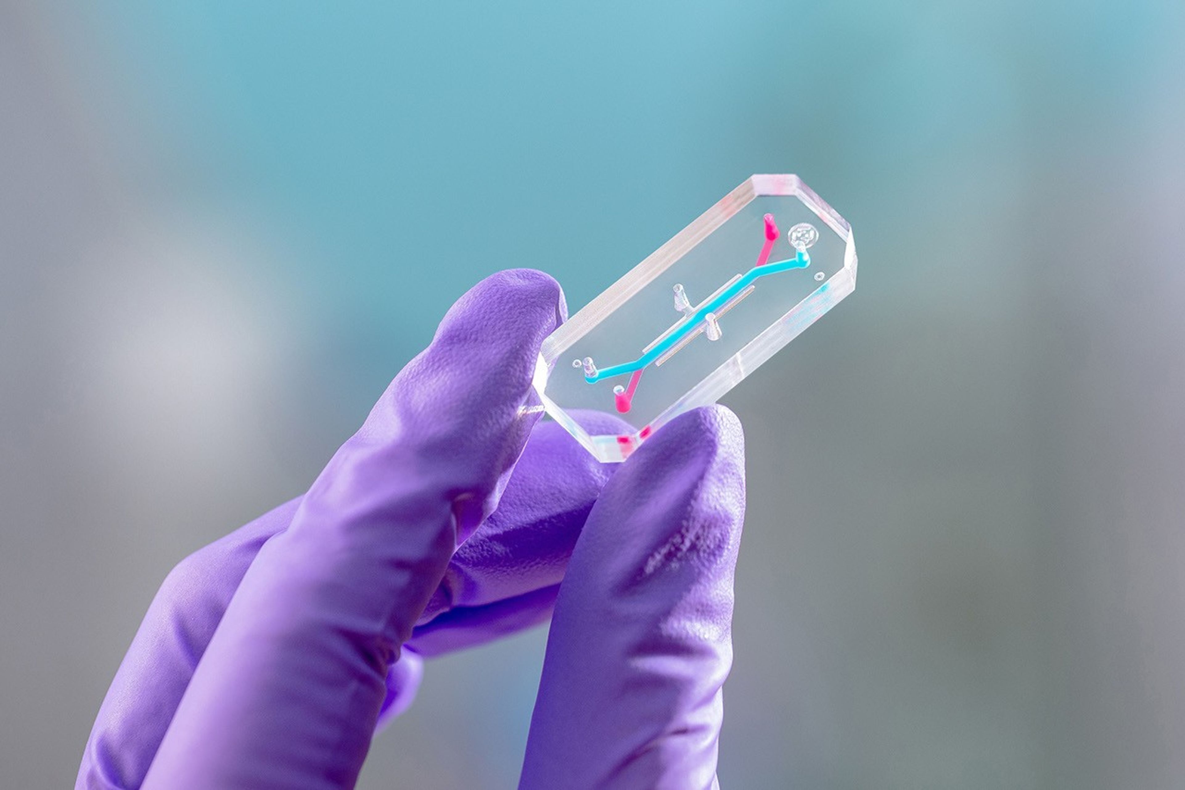 Emulate_Organ-Chip_blue_glove_2