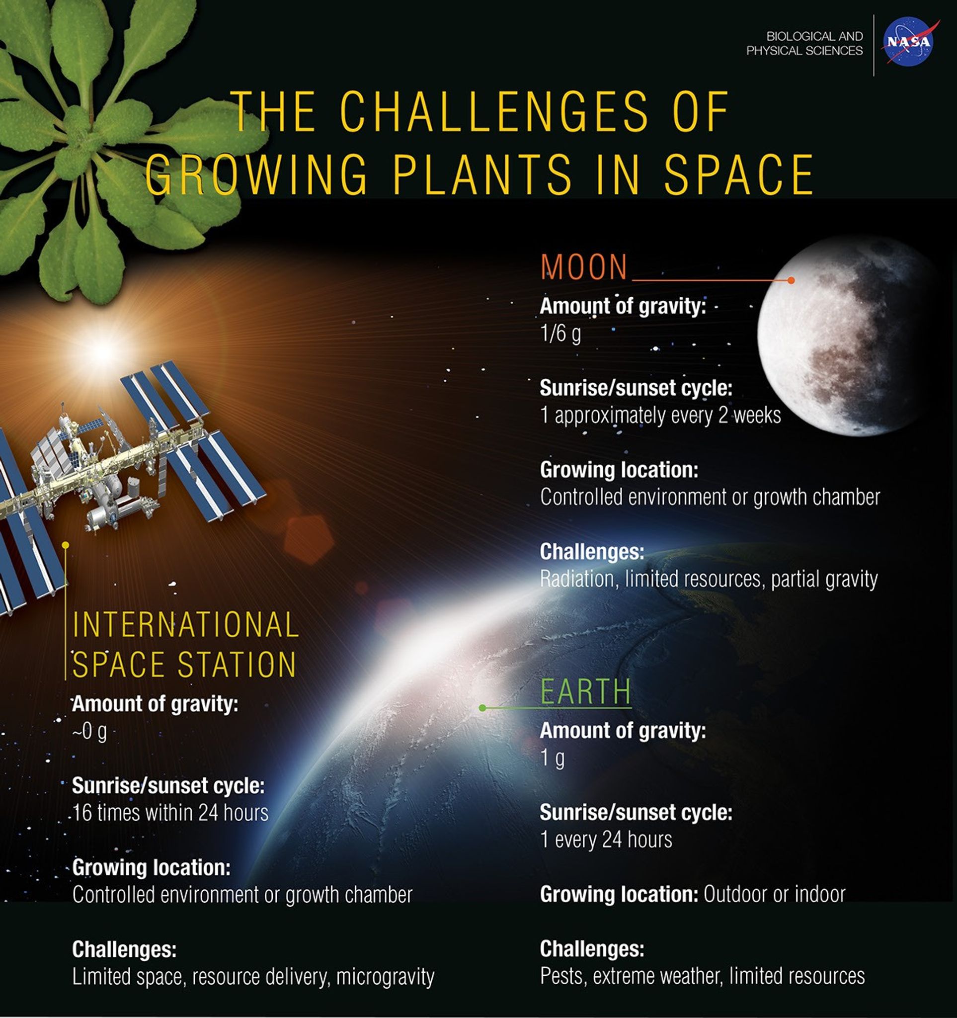 Infographic explaining the challenges of growing plants in space