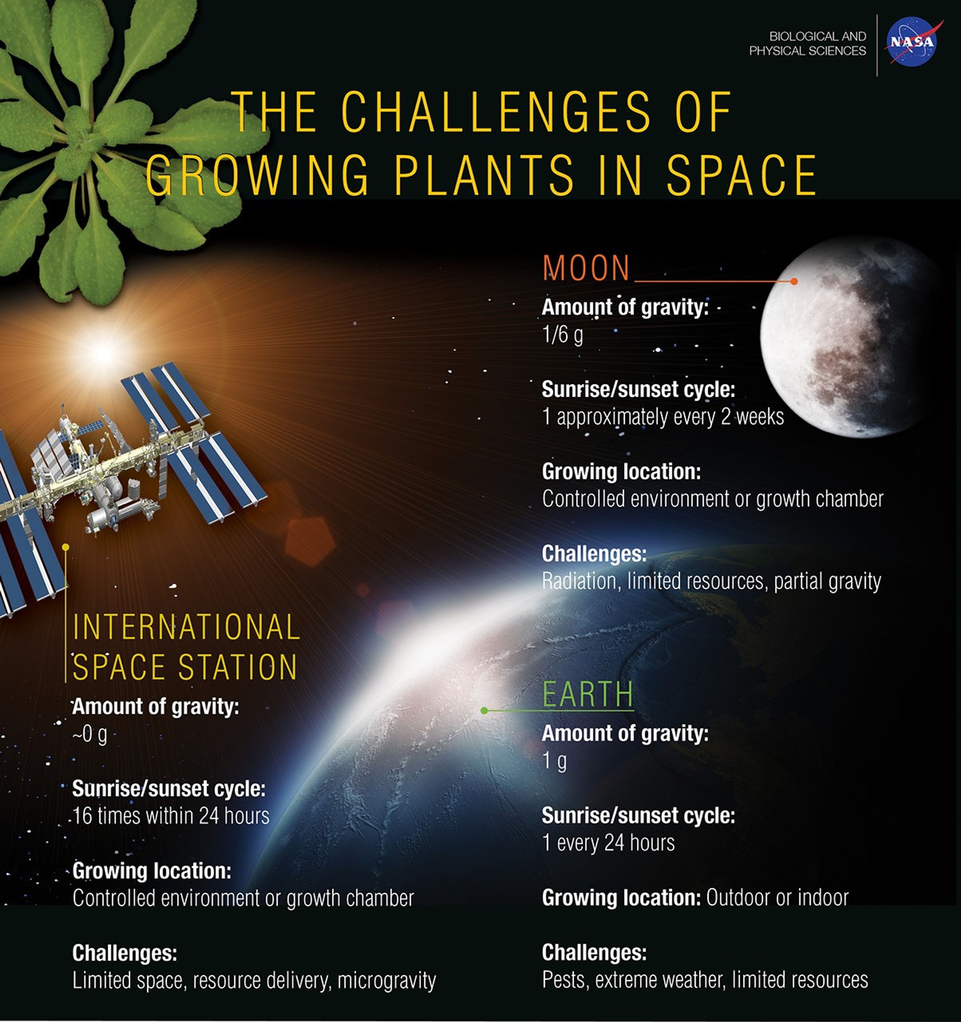 Growing Plants In Space Growing plants in space