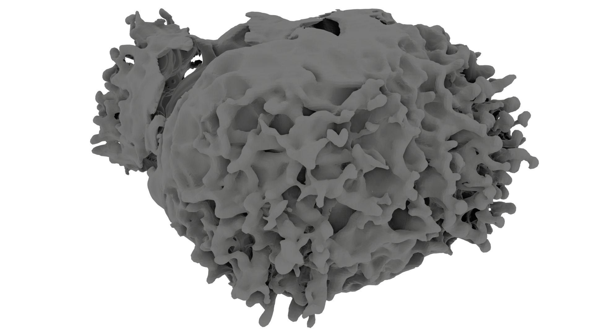 External Image