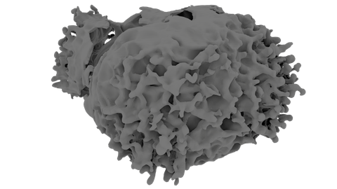 Cassiopeia A Supernova (C) (2025), a 3D model from NASA/Salvatore Orlando