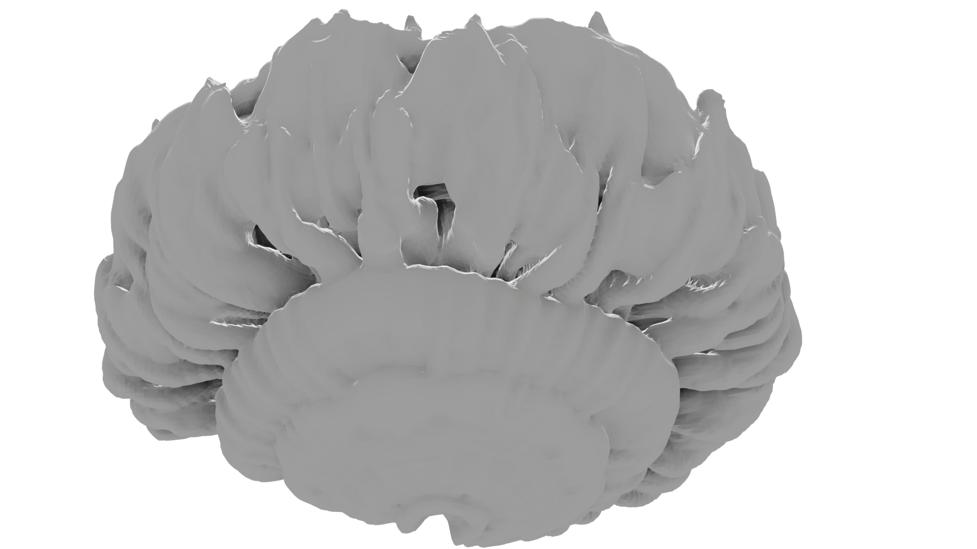 External Image