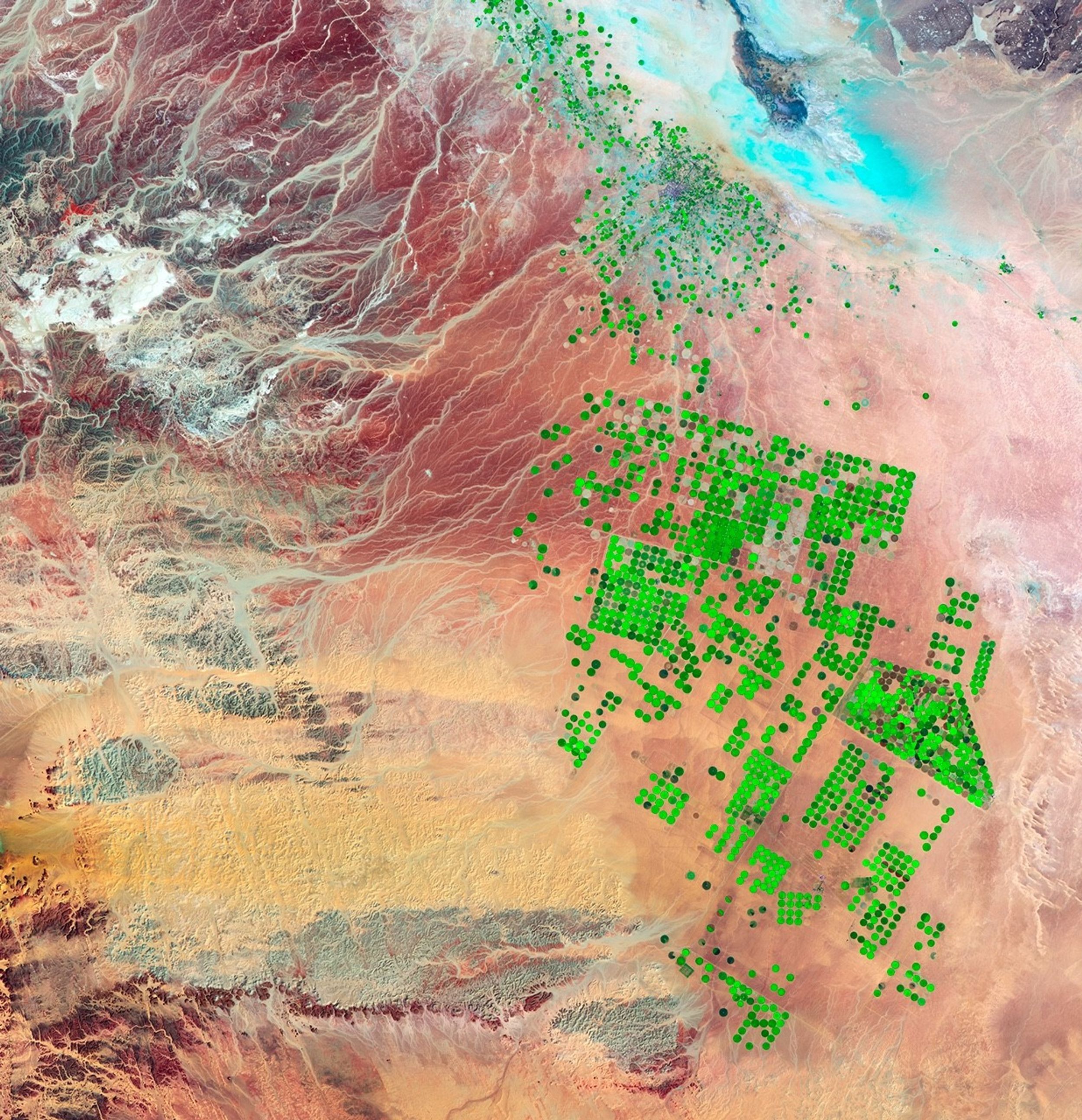 Landsat satellite image of land in Saudi Arabia, with green circular irrigated farm fields.