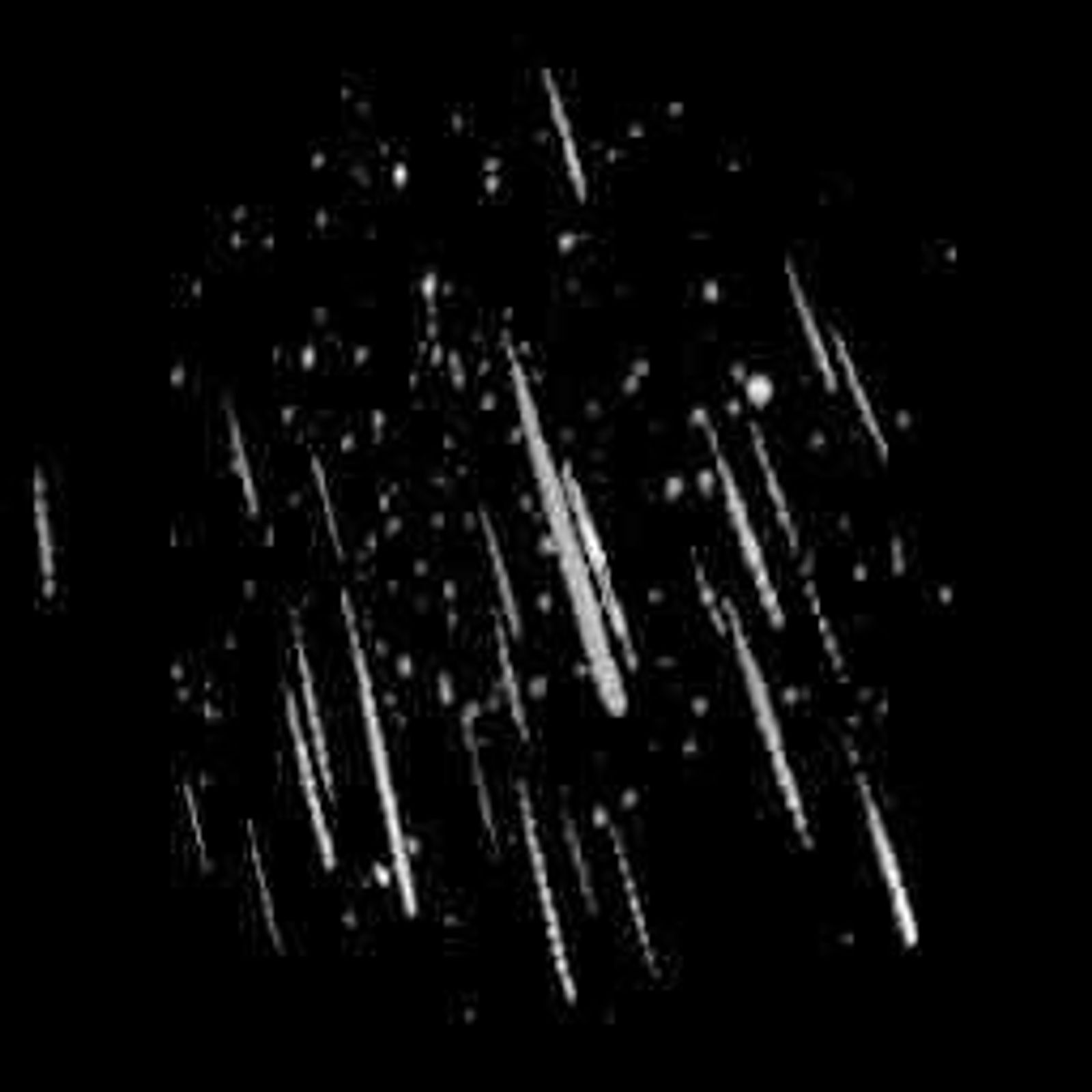 The Perseid Meteor Shower