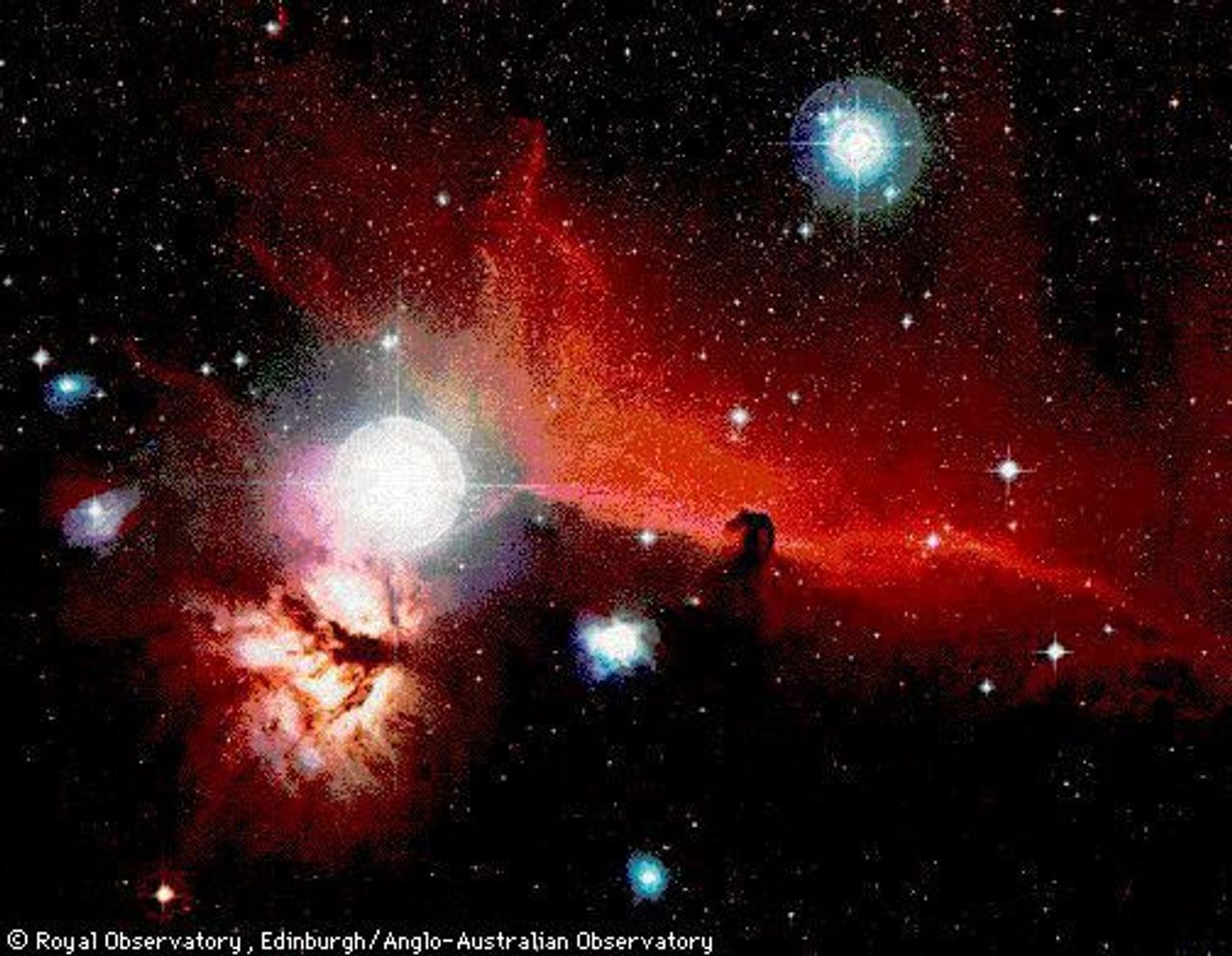 Orion's Horsehead Nebula