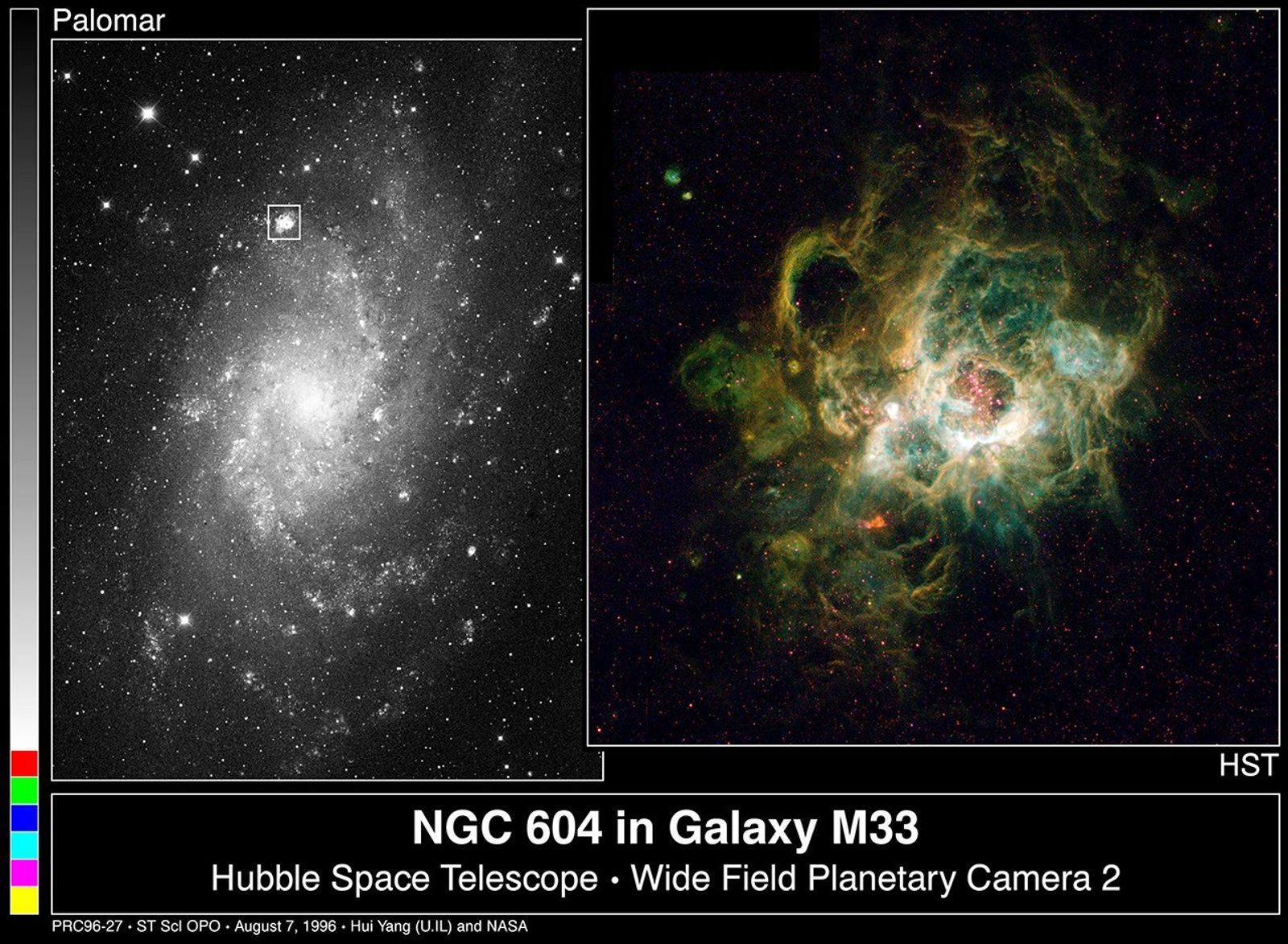 NGC 604: Giant Stellar Nursery