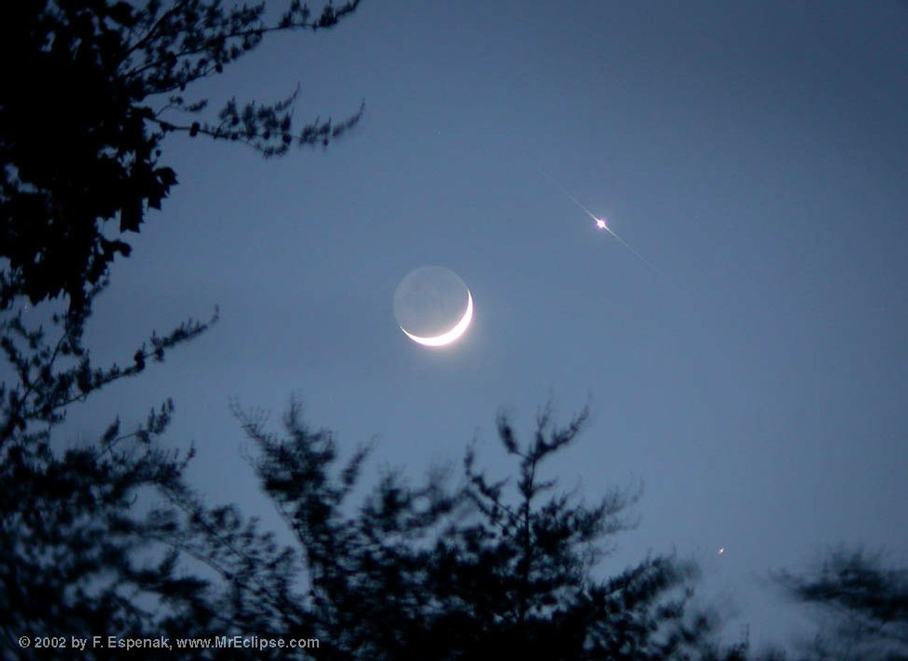 Love and War by Moonlight