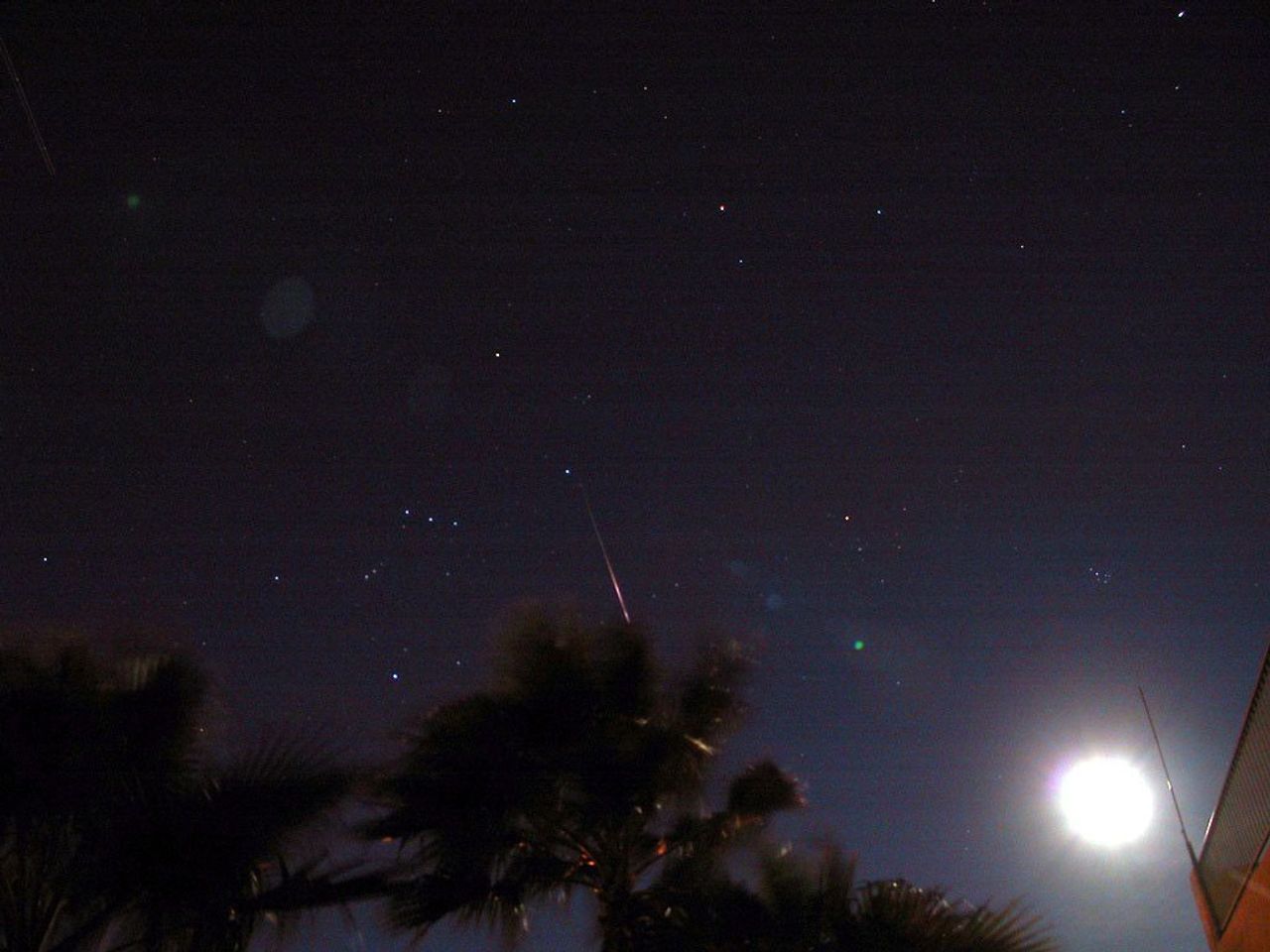 Leonids vs. The Moon