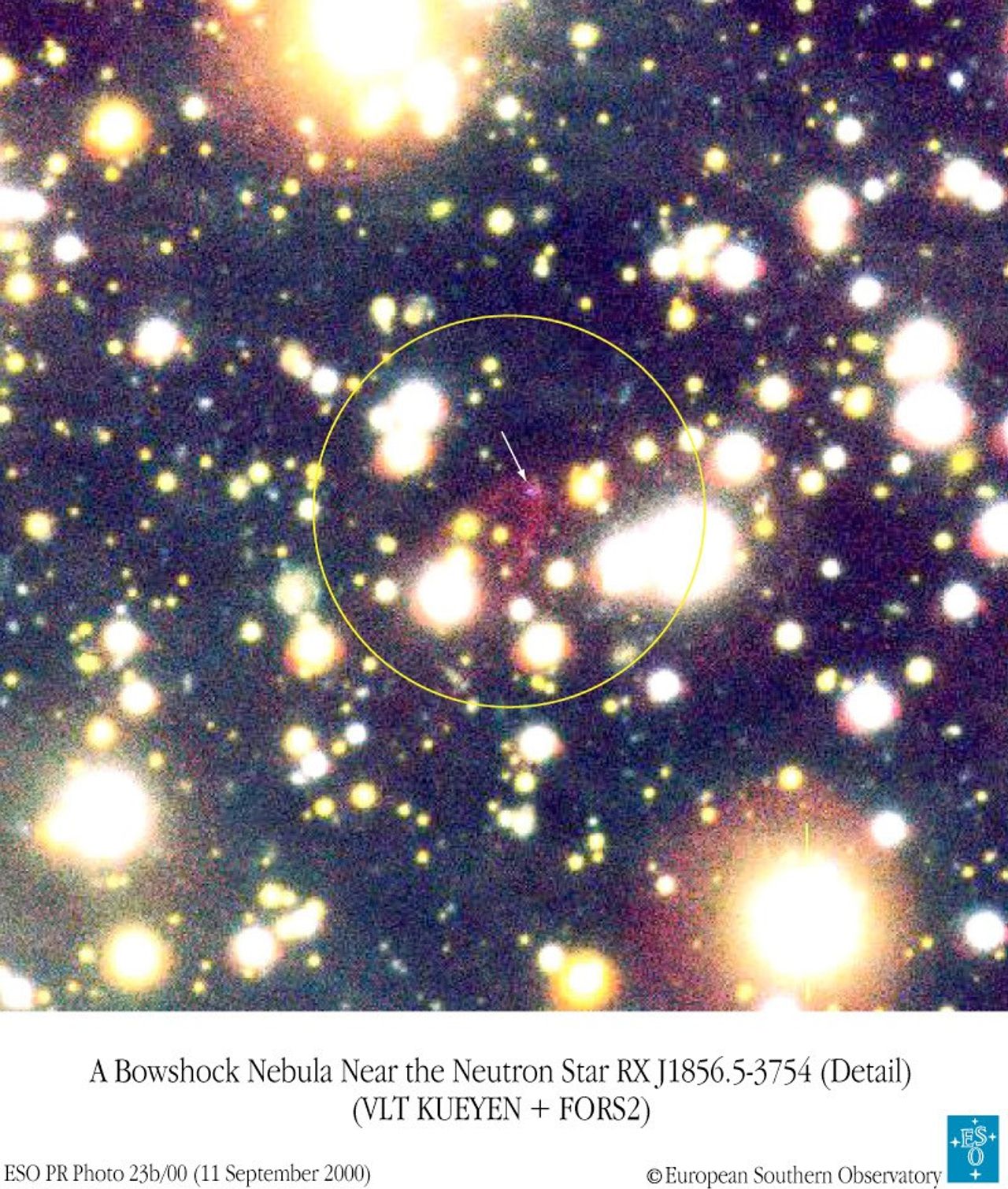The Nebula And The Neutron Star