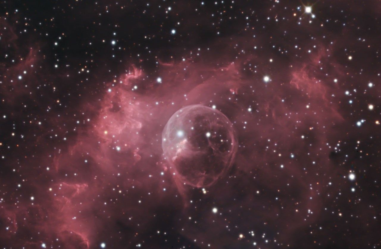 The Bubble